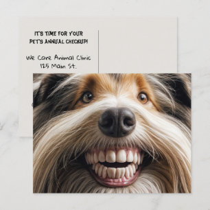 Bearded Collie Toothy Smile Postkarte