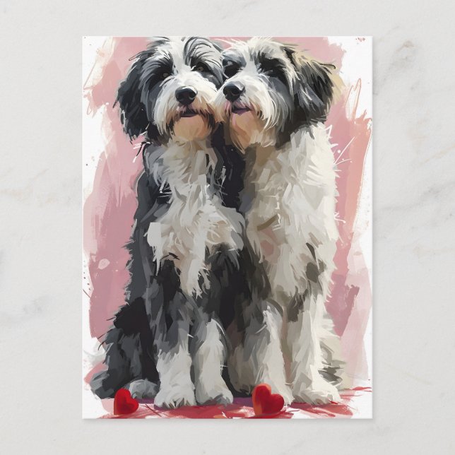 Bearded Collie Valentine Postkarte (Vorderseite)