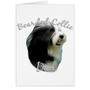 Bearded Collie Vater 2