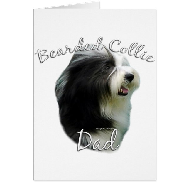 Bearded Collie Vater 2 (Vorne)