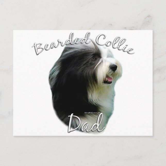 Bearded Collie Vater 2 Postkarte (Vorderseite)
