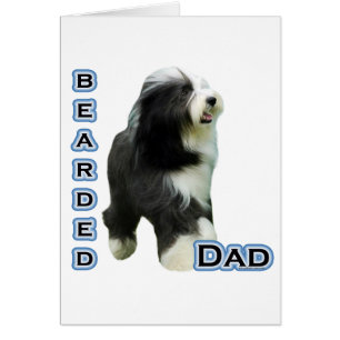Bearded Collie Vater 4