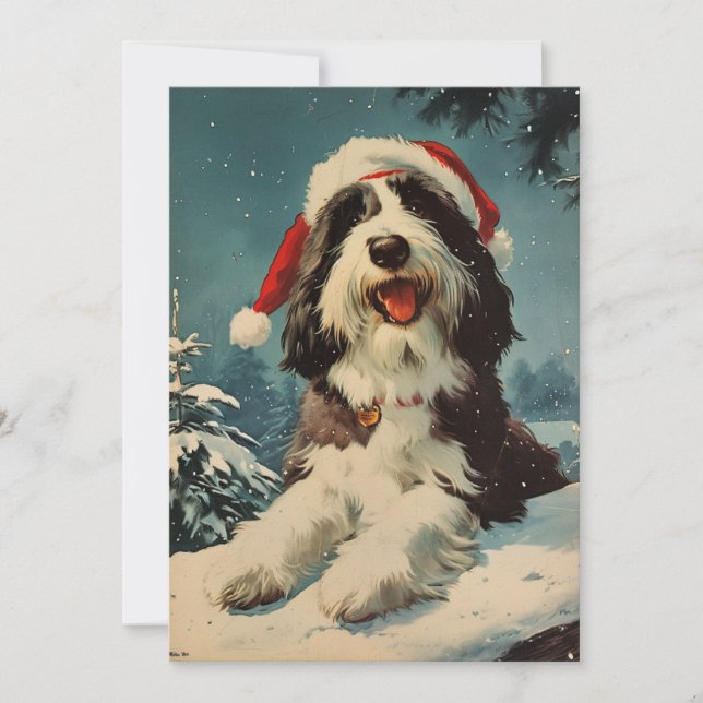 Bearded Collie Weihnachten (Vorderseite)