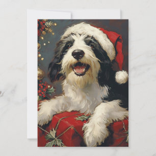 Bearded Collie Weihnachten