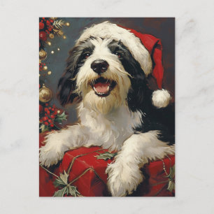 Bearded Collie Weihnachten Postkarte