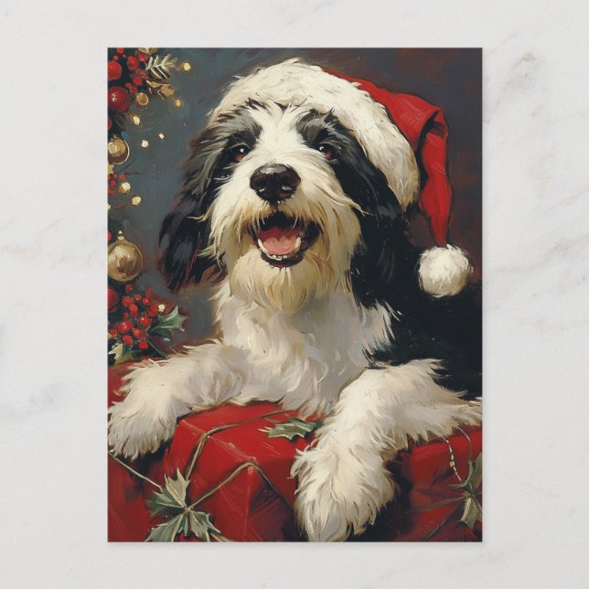 Bearded Collie Weihnachten Postkarte (Vorderseite)