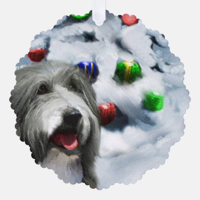 Bearded Collie Weihnachtsgeschenke Ornament Karte (Vorderseite)