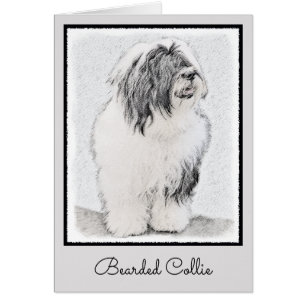 Bearded Collie Zeichnend - Niedliche Original Hund