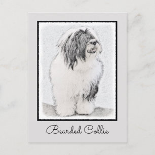 Bearded Collie Zeichnend - Niedliche Original Hund Postkarte