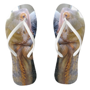Bearded Dragon Foto Print Flip Flops