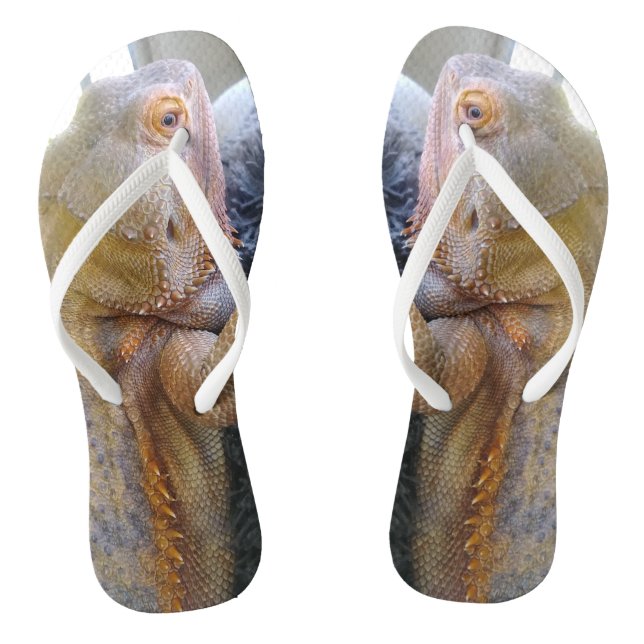 Bearded Dragon Foto Print Flip Flops (Fußbett)