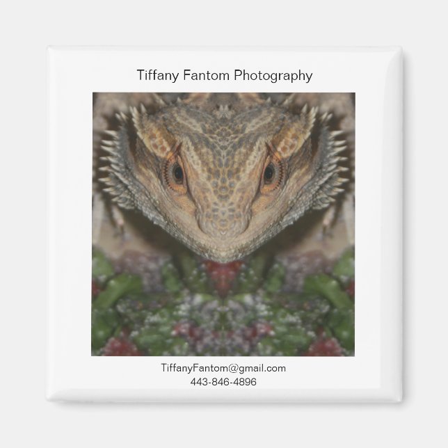 Bearded Dragon Promo Piece Magnet (Vorne)