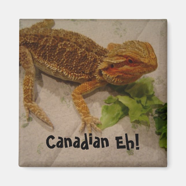 Bearded Dragon Spaß Canadian Eh! Magnet (Vorne)
