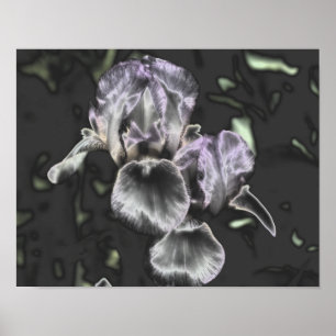 Bearded Iris Blume Pair Metallische Abstrakte Kuns Poster