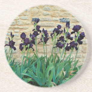 Bearded Iris Getränkeuntersetzer