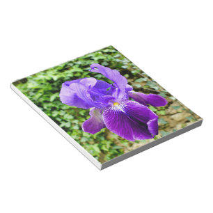 Bearded Iris Notizblock