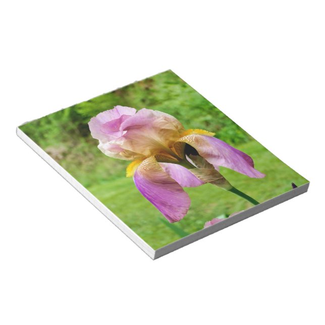Bearded Iris Notizblock (angewinkelt)