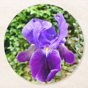 Bearded Iris Runder Pappuntersetzer