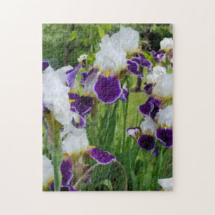 Bearded Irises Spring Flowers Puzzle