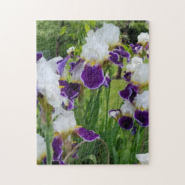 Bearded Irises Spring Flowers Puzzle (Vertikal)