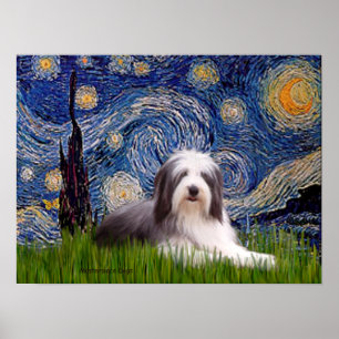 Beardie 2 - Starry Night Poster