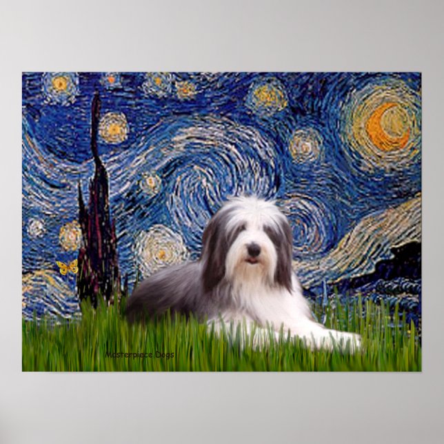 Beardie 2 - Starry Night Poster (Vorne)
