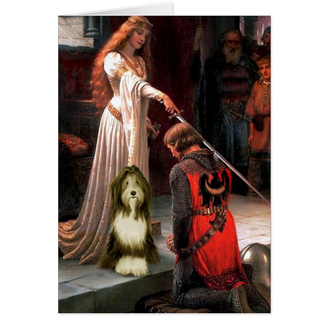 Beardie 9 - Die Akkolade (Vorne)