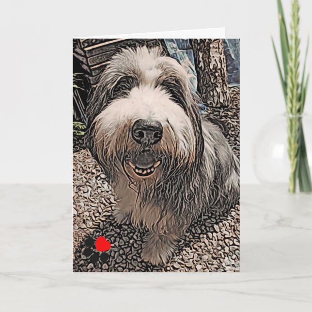 Beardie Happy Birthday Card Karte (Vorderseite)