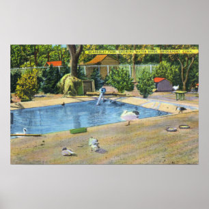Beardsley Park-Ansicht von Waterbirds Poster