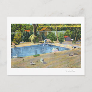 Beardsley Park Sicht auf Wasservögel Postkarte