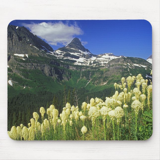 Beargras am Logan Pass im Gletscher-Nationalpark Mousepad (Vorne)