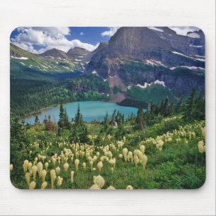 Beargras über dem Grinnellsee im Val Grande Mousepad