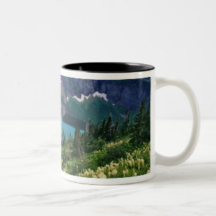 Beargras über dem Grinnellsee im Val Grande Zweifarbige Tasse