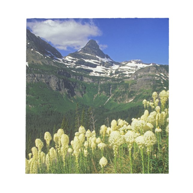 Beargrass am Logan Pass - Gletscher Nationalpark Notizblock (Vorderseite)