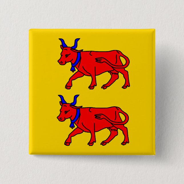 Bearn, Frankreich-Flagge Button (Vorderseite)