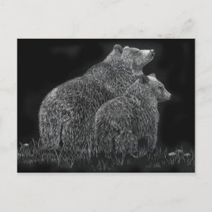 Bears Animal Scratchboard Schwarz-Weiß-Kunst Postkarte