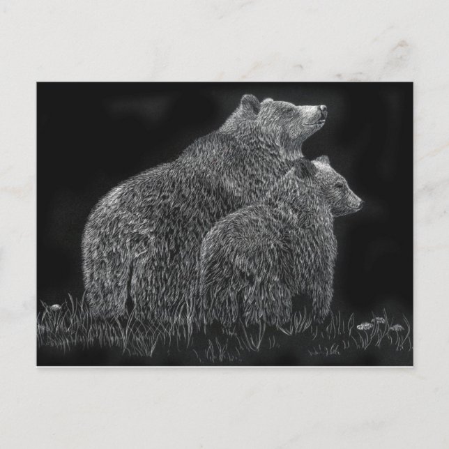 Bears Animal Scratchboard Schwarz-Weiß-Kunst Postkarte (Vorderseite)