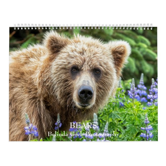 BEARS - Belinda Greb Fotografy Kalender