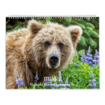 BEARS - Belinda Greb Fotografy