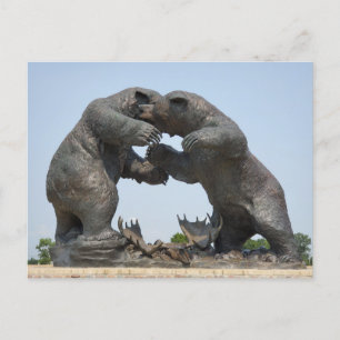 Bears - Dundee, Michigan Postkarte