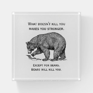 Bears werden dich umbringen briefbeschwerer
