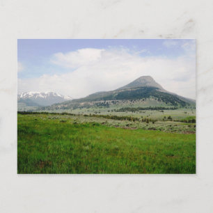 Beartooth Butte Postkarte
