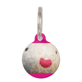 Beary Round Pet Tag Haustiermarke