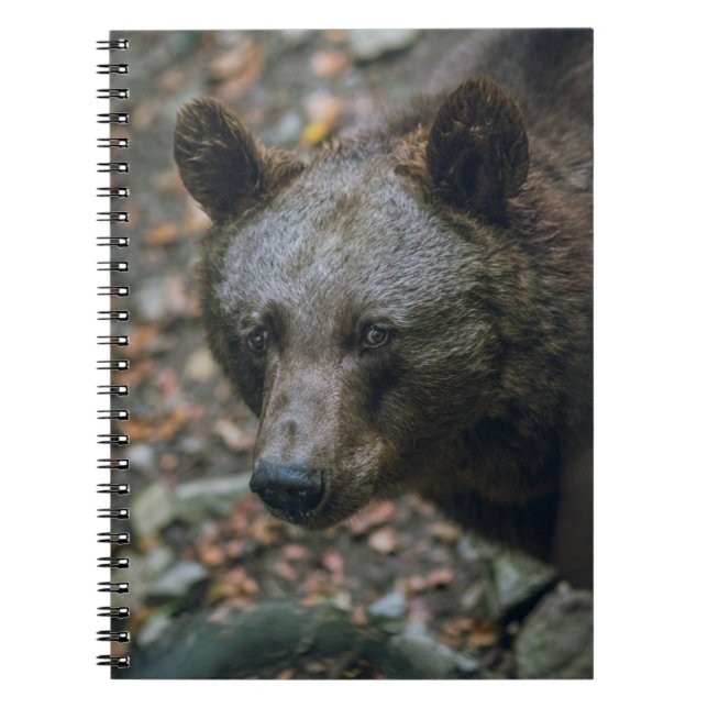 BEARY THOUGHTS NOTIZBLOCK (Vorderseite)