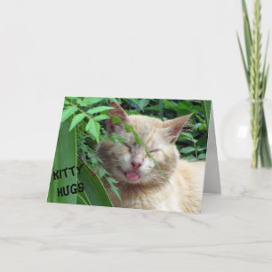 Beast's Kitty Hugs Geburtstagskarte Karte