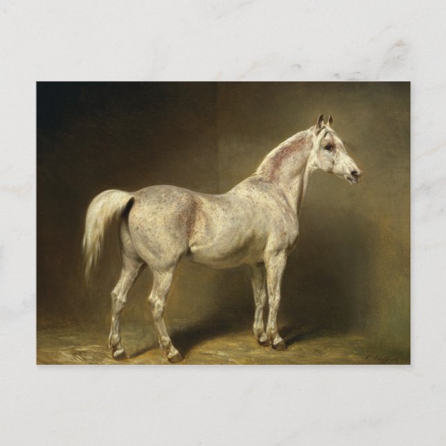 Beatrice' Postkarte (Vorderseite)