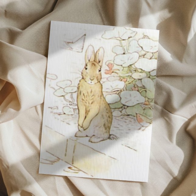 Beatrix Potter aus der Geschichte von Peter dem Ka Postkarte (Von Creator hochgeladen)
