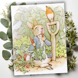 Beatrix Potter aus der Geschichte von Peter dem Ka Postkarte
