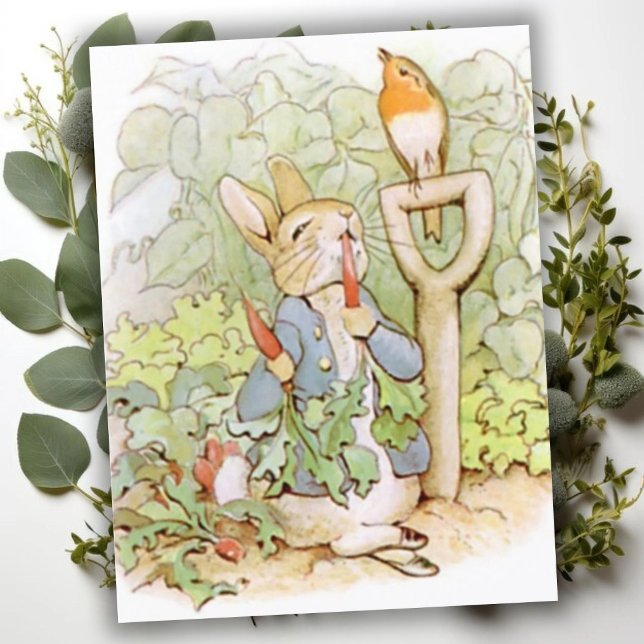 Beatrix Potter aus der Geschichte von Peter dem Ka Postkarte (Von Creator hochgeladen)