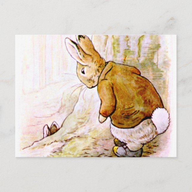 Beatrix Potter - Bunny Illustration Postkarte (Vorderseite)